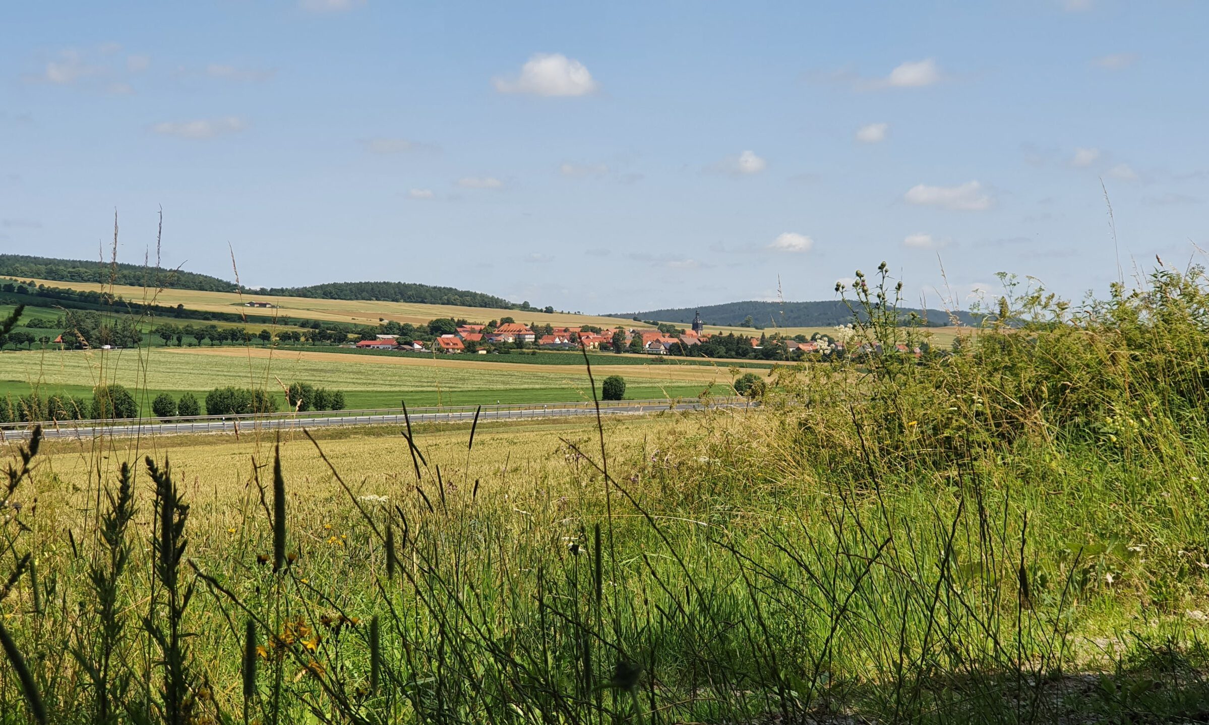 cropped-goethe-4140877_1920-1.jpg